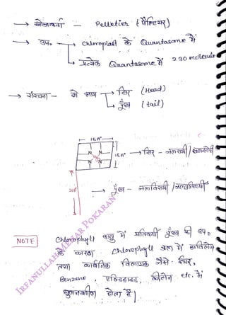 11
<br>
NOT E
<br>
Chloropla4 QuRntasee
<br>
Pelietie eer)
<br>
Chterophg
<br>
Benzene
<br>
hcàd Quontasome
<br>
I5A°
<br>
230 molele
<br>
etc.
<br>
 