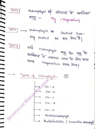 NOTE
<br>
NOTE
<br>
Chterephy
<br>
metal
<br>
Chlophyl
<br>
anfessy
<br>
Types ob Cutoohy -
<br>
Ch- b
<br>
Ch
<br>
(magnaium)
<br>
Cantral Core
<br>
Bacteipcoropy
<br>
Bacteisviidin (coreblum chlooghy
<br>
 