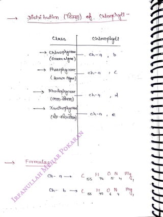 ofshi butirn (1a)
. Shleacghge
<br>
ChloopycRae
<br>
(Gmecn
age)
<br>
Phatpycear
<br>
Rhodepyeear
<br>
(O) tto)
<br>
Formulas
<br>
Xavdhplyn
<br>
Ch b
<br>
C
<br>
eh-q
<br>
ch
<br>
ch-g
<br>
ch-a
<br>
55 2
<br>
55
<br>
H
<br>
0
6
<br>
b
<br>
",
<br>
 