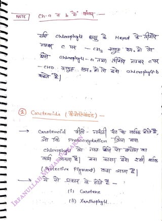 NOTE
<br>
Ch-g
<br>
HD
<br>
(2) Casctenoidls
(ES)
<br>
Carotenoie
<br>
(
<br>
7
<br>
chleropg
<br>
Phetooydattem o)
<br>
( Prstective Pfemext) T TAT
<br>
Heod
<br>
(i) Canetene
<br>
(i) Xathephyl..
<br>
 