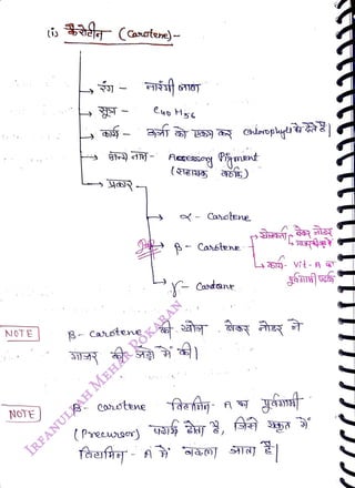 NOTE
<br>
NOTE
<br>
(0 (Canatene)-
<br>
B- Castene
<br>
B- Corstene
<br>
(Preeursor)
<br>
-
Cahotene
<br>
- Canstene
<br>
Cavtane
<br>
fefig A
<br>
 