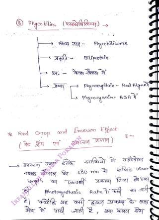 ) Phyco bilins (Taf fory)
<br>
Red OTop
<br>
Phycobilsome
<br>
phutotheais
<br>
Biiprotein
<br>
Phycocthsn – Rad Alquch
<br>
Phycoaguntnr
<br>
and LmsCT) E
bheot
<br>
Rate
<br>
)
<br>
 
