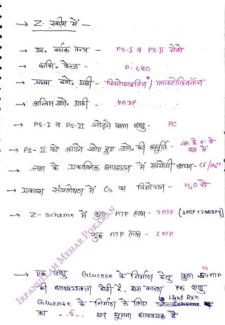 p- GO
<br>
PC
<br>
Gilucose
<br>
2- scheme 9) ATP O- 7TP (1ATP t2NADP
<br>
ATP ) - 1 ATP
<br>
e
<br>
Gluene tsTn Lt Rxn
<br>
Sy
<br>
 