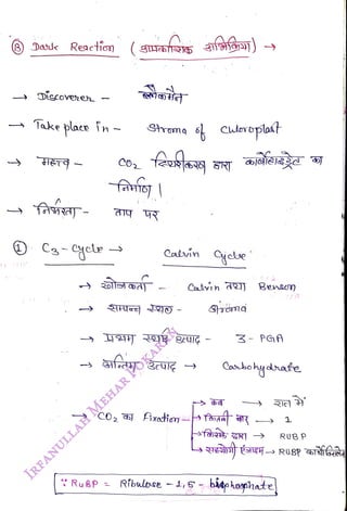 Dasle Res9ction (gLf)
<br>
Diccoveheh
<br>
Take place in
<br>
C3-yce
<br>
CO
<br>
Srmq
<br>
Calvin
<br>
cluderoplot
<br>
* RuBP = Ribulose -
1,5
<br>
Cyete
<br>
3- PG
<br>
Castohydate
<br>
4,5- bitohosphate
<br>
1
<br>
RUB P
<br>
 