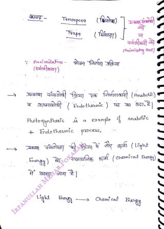 Tenosporg
<br>
Aseimilation
<br>
(aioftaroj)
<br>
Enngg)
<br>
Trapg
<br>
(Teng)
<br>
bdothermic poeesc,
<br>
(Aecimilty Red)
<br>
fAijoa (Anabolie)
<br>
FRINTAa 8f (eenícal Enegn)
<br>
Chenical BgA
<br>
 