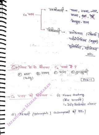 (A)ls
<br>
( Peddy)
<br>
fasaar
<br>
aiSNT ,
yí,
<br>
abus
(ark)
<br>
Cu
<br>
(y' Kranz Anatom
<br>
etc.
<br>
An-c)
<br>
i) fet (Dimaphic J autroplas? 39o
<br>
 