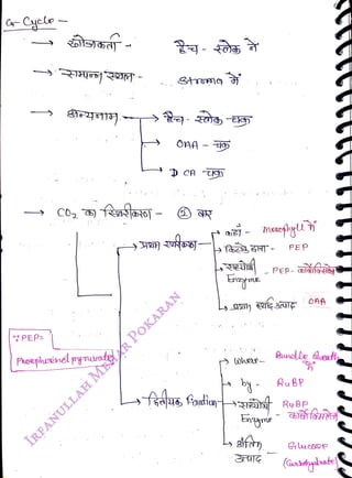 J
<br>
PEP
<br>
Pheepkerindl pyruvate
<br>
&tromg
<br>
PEP
<br>
Evymne
<br>
Aundle sent
<br>
by - Ru Bp
<br>
GuceSp
<br>
(asdybate
<br>
 