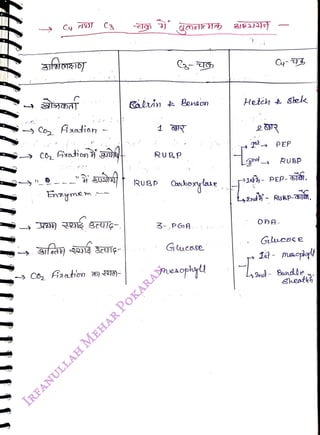 Coy
fxation
<br>
Enrymem
<br>
C3
<br>
Co, Faaton ) LO
<br>
RUBP
<br>
RUBP
<br>
Oebonglae.
<br>
3-,PG A
<br>
Gucase
<br>
nueaophyd
<br>
Hetih t Slek
<br>
qst pEP
<br>
Hi4)- PEP
<br>
L2nd
<br>
RUBP
<br>
RSAP_10
<br>
OA
<br>
Glucse e
<br>
14 -
maey
<br>
Sheatih
<br>
 
