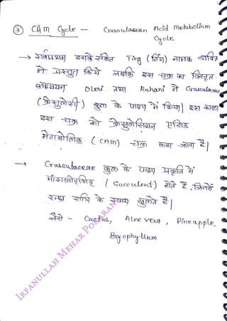 CAm yele
<br>
Le
<br>
Crassulasean Acid Metaboism
<br>
Craacubaoae
<br>
(y) g igy fey)
<br>
Ruhani st Gassulacae
<br>
Cactus,
<br>
Aloe Very
<br>
ey ophym
<br>
Pineapple,
<br>
 