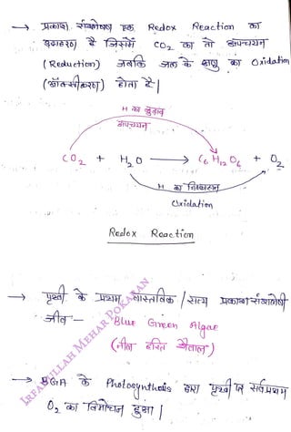 ( Redueticon)
<br>
(iae8)
<br>
8 GA
<br>
+
<br>
Redox
<br>
H
JSI)
<br>
Redox
<br>
Reactio
<br>
Oxialation
<br>
Roactíc
<br>
Blue Geen Algoae
<br>
)
<br>
5) Oidatin
<br>
 