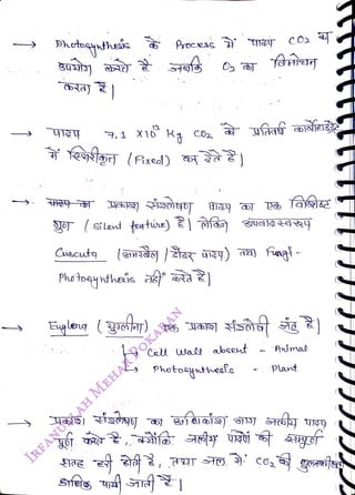 Phetoqnthei Arocess
<br>
Cuscutg
<br>
Phetoqyntheis
<br>
Eupleng (goay)
<br>
12
<br>
Cell usall abeeut
<br>
Photoynthesls
<br>
Anmal
<br>
Plant
<br>
 