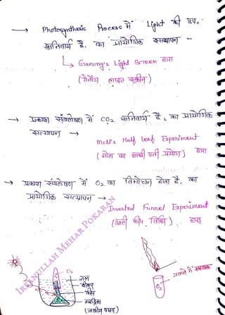 Photonhais Proeess
<br>
MokN's Haly leat Expeument
<br>
(h
<br>
Drvexted Funnel Eapeumet
<br>
( 9RY)
<br>
 