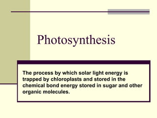 Photosynthesis The process by which solar light energy is trapped by chloroplasts and stored in the  chemical bond energy stored in sugar and other organic molecules.   