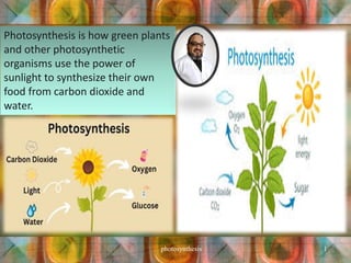 Photosynthesis is how green plants
and other photosynthetic
organisms use the power of
sunlight to synthesize their own
food from carbon dioxide and
water.
photosynthesis 1
 