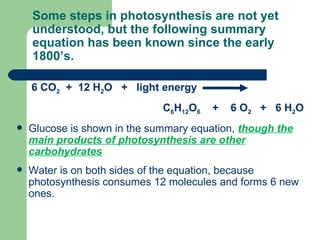 Some steps in photosynthesis are not yet understood, but the following summary equation has been known since the early 1800’s. ,[object Object],[object Object],[object Object],[object Object]