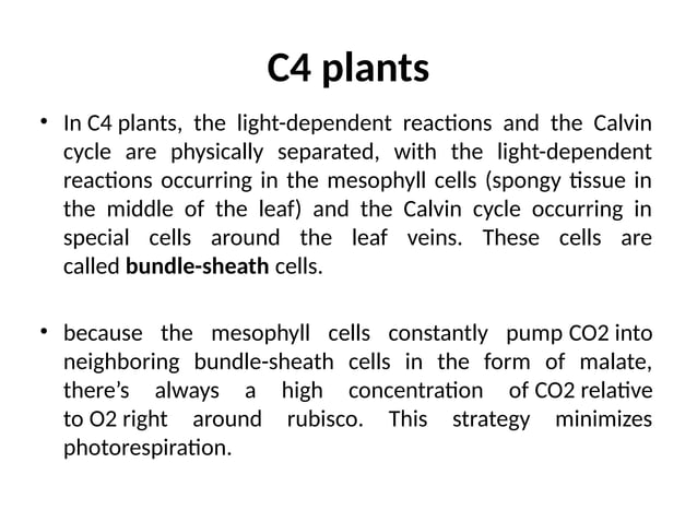 photosynthesis and photorespiration Lecture note ppt.pptx