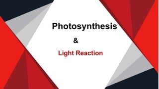 Photosynthesis
Light Reaction
&
 