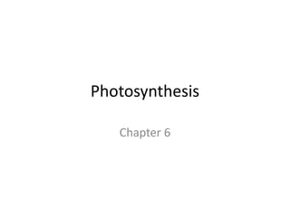 Photosynthesis

   Chapter 6
 