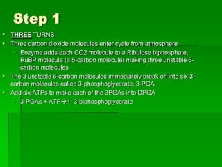Step 1
 THREE TURNS:
 Three carbon dioxide molecules enter cycle from atmosphere
    Enzyme adds each CO2 molecule to a Ribulose biphosphate,
     RuBP molecule (a 5-carbon molecule) making three unstable 6-
     carbon molecules
 The 3 unstable 6-carbon molecules immediately break off into six 3-
  carbon molecules called 3-phosphoglycerate, 3-PGA
 Add six ATPs to make each of the 3PGAs into DPGA
    3-PGAs + ATP1, 3-biphosphoglycerate
 