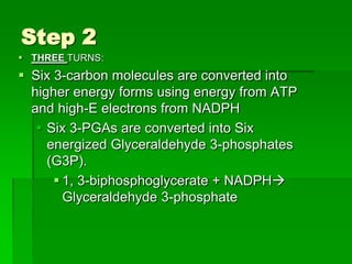 Step 2
 THREE TURNS:
 Six 3-carbon molecules are converted into
  higher energy forms using energy from ATP
  and high-E electrons from NADPH
    Six 3-PGAs are converted into Six
     energized Glyceraldehyde 3-phosphates
     (G3P).
       1, 3-biphosphoglycerate + NADPH
        Glyceraldehyde 3-phosphate
 