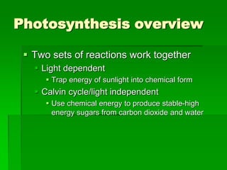 Photosynthesis overview

  Two sets of reactions work together
    Light dependent
       Trap energy of sunlight into chemical form
    Calvin cycle/light independent
       Use chemical energy to produce stable-high
        energy sugars from carbon dioxide and water
 