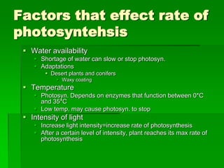 Factors that effect rate of
photosyntehsis
  Water availability
     Shortage of water can slow or stop photosyn.
     Adaptations
         Desert plants and conifers
             Waxy coating
  Temperature
     Photosyn. Depends on enzymes that function between 0*C
      and 35*C
     Low temp. may cause photosyn. to stop
  Intensity of light
     Increase light intensity=increase rate of photosynthesis
     After a certain level of intensity, plant reaches its max rate of
      photosynthesis
 