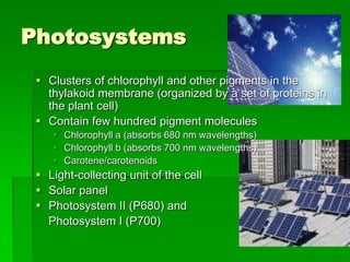 Photosystems
  Clusters of chlorophyll and other pigments in the
   thylakoid membrane (organized by a set of proteins in
   the plant cell)
  Contain few hundred pigment molecules
     Chlorophyll a (absorbs 680 nm wavelengths)
     Chlorophyll b (absorbs 700 nm wavelengths)
     Carotene/carotenoids
  Light-collecting unit of the cell
  Solar panel
  Photosystem II (P680) and
   Photosystem I (P700)
 