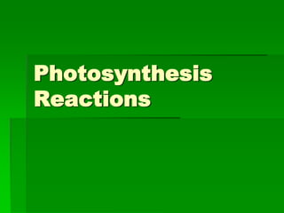 Photosynthesis
Reactions
 
