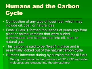 Humans and the Carbon
 Cycle
 Combustion of any type of fossil fuel, which may
  include oil, coal, or natural gas
 Fossil Fuels formed thousands of years ago from
  plant or animal remains that were buried,
  compressed, and transformed into oil, coal, or
  natural gas
 This carbon is said to be "fixed" in place and is
  essentially locked out of the natural carbon cycle
 Humans intervene during by burning the fossil fuels
   During combustion in the presence of O2, CO2 and water
    molecules are released into the atmosphere
 