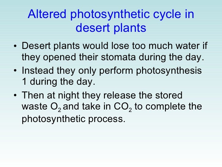 09 Photosynthesis & plant structures