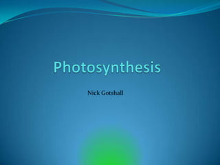Photosynthesis Nick Gotshall 