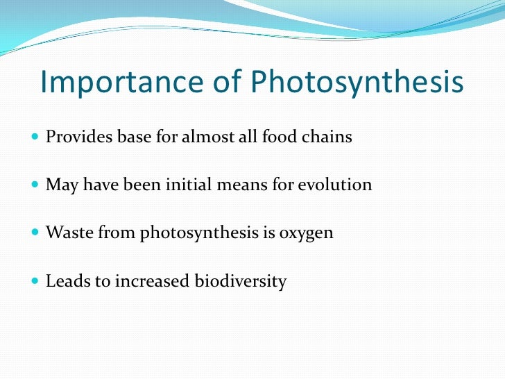 Photosynthesis Powerpoint