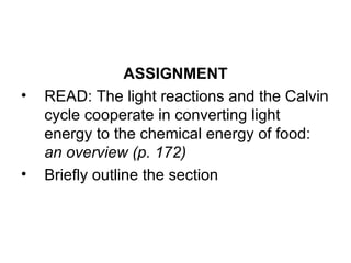 ASSIGNMENT READ: The light reactions and the Calvin cycle cooperate in converting light energy to the chemical energy of food:  an overview (p. 172) Briefly outline the section 