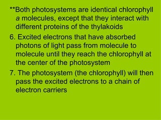 **Both photosystems are identical chlorophyll  a  molecules, except that they interact with different proteins of the thylakoids 6. Excited electrons that have absorbed photons of light pass from molecule to molecule until they reach the chlorophyll at the center of the photosystem 7. The photosystem (the chlorophyll) will then pass the excited electrons to a chain of electron carriers 