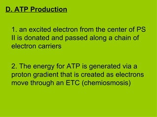 D. ATP Production 1. an excited electron from the center of PS II is donated and passed along a chain of electron carriers 2. The energy for ATP is generated via a proton gradient that is created as electrons move through an ETC (chemiosmosis) 