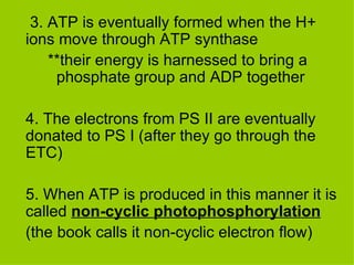   3. ATP is eventually formed when the H+ ions move through ATP synthase  **their energy is harnessed to bring a    phosphate group and ADP together  4. The electrons from PS II are eventually donated to PS I (after they go through the ETC) 5. When ATP is produced in this manner it is called  non-cyclic photophosphorylation (the   book calls it non-cyclic electron flow) 