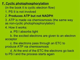 F. Cyclic photophosphorylation (in the book it is cyclic electron flow) 1. PS II is not involved 2.  Produces ATP but not NADPH 3. ATP is made via chemiosmosis (the same way as non-cyclic photophosphorylation) 4. How it works: a. PS I absorbs light b. the excited electrons are given to an electron acceptor c. the electrons pass through an ETC to produce ATP via chemiosmosis d. At the end of the ETC the electrons go back to PS I and the process starts again 