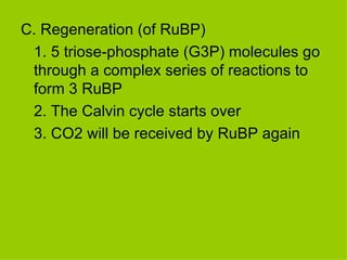 C. Regeneration (of RuBP) 1. 5 triose-phosphate (G3P) molecules go through a complex series of reactions to form 3 RuBP 2. The Calvin cycle starts over 3. CO2 will be received by RuBP again 