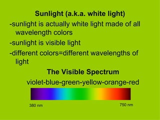 Sunlight (a.k.a. white light) -sunlight is actually white light made of all wavelength colors -sunlight is visible light -different colors=different wavelengths of light The Visible Spectrum violet-blue-green-yellow-orange-red 380 nm 750 nm 