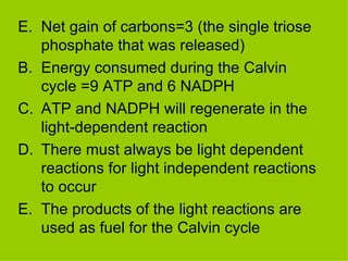 E. Net gain of carbons=3 (the single triose phosphate that was released) Energy consumed during the Calvin cycle =9 ATP and 6 NADPH ATP and NADPH will regenerate in the light-dependent reaction There must always be light dependent reactions for light independent reactions to occur The products of the light reactions are used as fuel for the Calvin cycle 