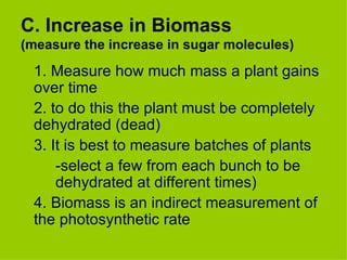 C. Increase in Biomass  (measure the increase in sugar molecules) 1. Measure how much mass a plant gains over time 2. to do this the plant must be completely dehydrated (dead) 3. It is best to measure batches of plants -select a few from each bunch to be  dehydrated at different times) 4. Biomass is an indirect measurement of the photosynthetic rate 