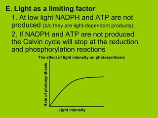 E. Light as a limiting factor 1. At low light NADPH and ATP are not produced  (b/c they are light-dependent products) 2. If NADPH and ATP are not produced the Calvin cycle will stop at the reduction and phosphorylation reactions The effect of light intensity on photosynthesis Rate of photosynthesis Light intensity 