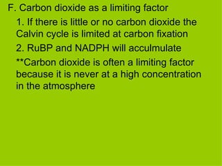 F. Carbon dioxide as a limiting factor 1. If there is little or no carbon dioxide the Calvin cycle is limited at carbon fixation 2. RuBP and NADPH will acculmulate **Carbon dioxide is often a limiting factor because it is never at a high concentration in the atmosphere 