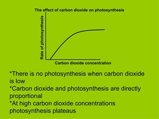 Rate of photosynthesis Carbon dioxide concentration The effect of carbon dioxide on photosynthesis *There is no photosynthesis when carbon dioxide is low *Carbon dioxide and photosynthesis are directly proportional *At high carbon dioxide concentrations photosynthesis plateaus 