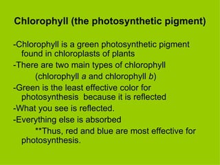 Chlorophyll (the photosynthetic pigment) -Chlorophyll is a green photosynthetic pigment found in chloroplasts of plants -There are two main types of chlorophyll (chlorophyll  a  and chlorophyll  b ) -Green is the least effective color for photosynthesis  because it is reflected -What you see is reflected.  -Everything else is absorbed **Thus, red and blue are most effective for photosynthesis. 