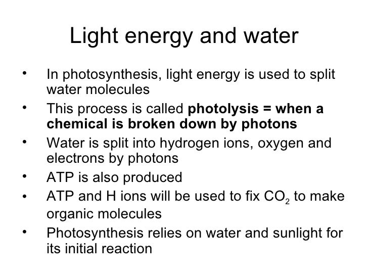 Photosynthesis power point