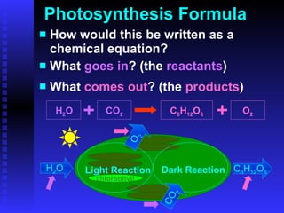 Photosynthesis Formula How would this be written as a chemical equation? What  goes in ? (the  reactants ) What  comes out ? (the  products ) H 2 O CO 2 C 6 H 12 O 6 O 2 H 2 O Light Reaction Dark Reaction CO 2 C 6 H 12 O 6 O 2 chlorophyll 