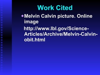 Work Cited Melvin Calvin picture. Online image http://www.lbl.gov/Science-Articles/Archive/Melvin-Calvin-obit.html 