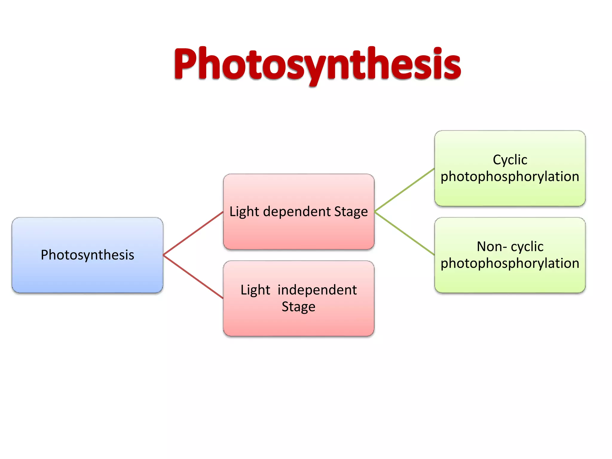 Topic Photosynthesis Photosynthesis | PPTX