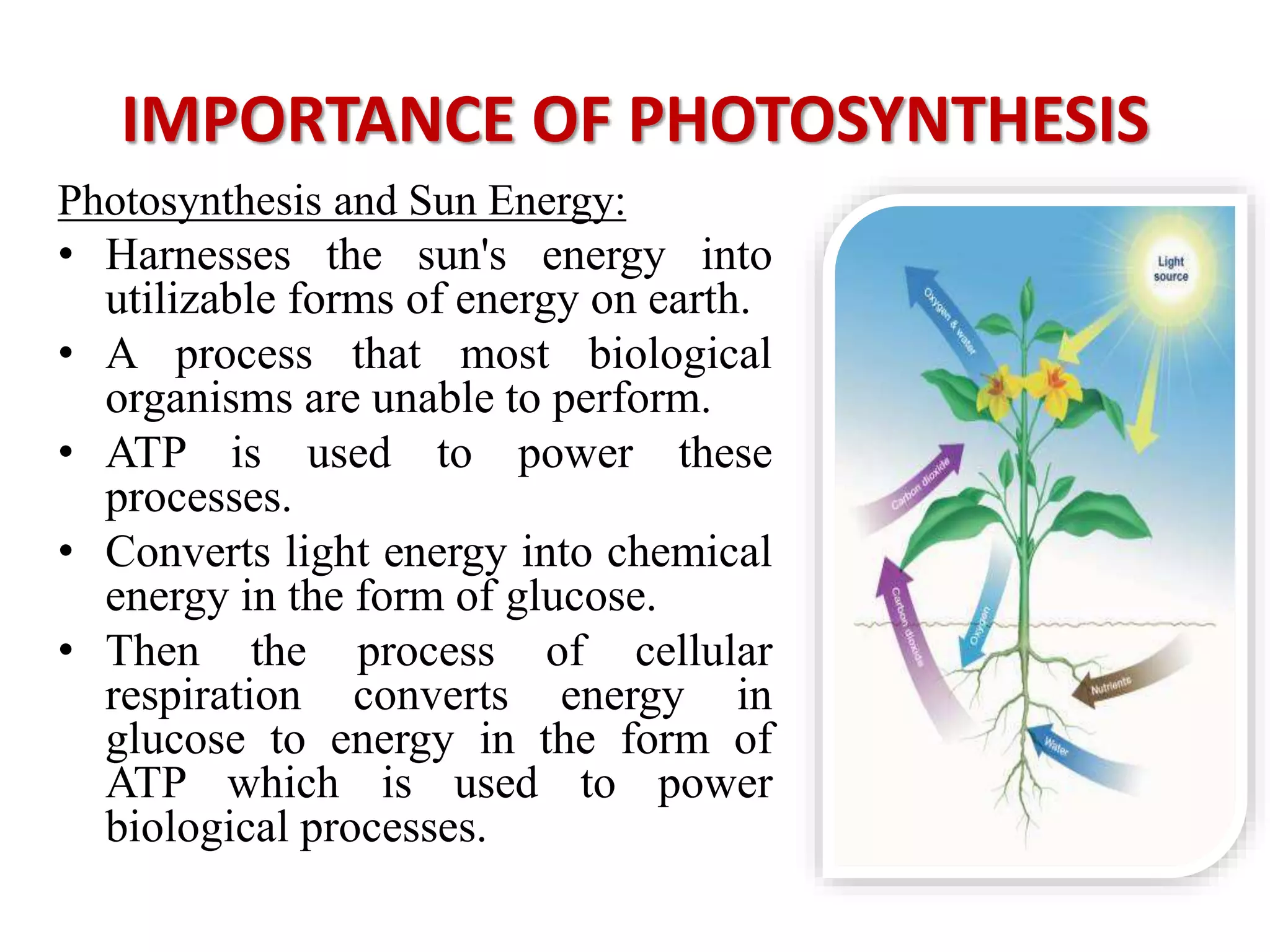 Topic Photosynthesis Photosynthesis | PPTX